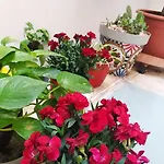 Appartement Alfycodindia Appartamento-centro-terrazzino 6posti