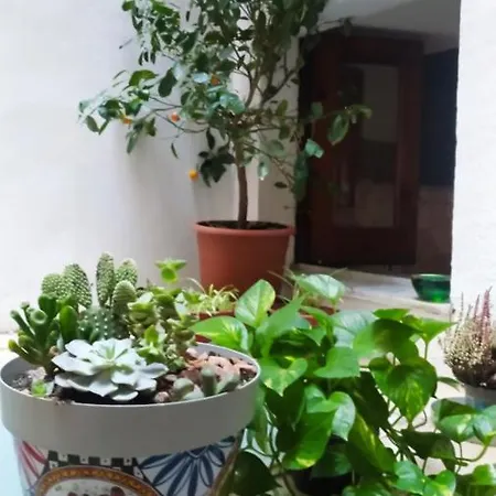 Elegante Casa Centro Terrazzino,park Free Alfycodindia Appartement
