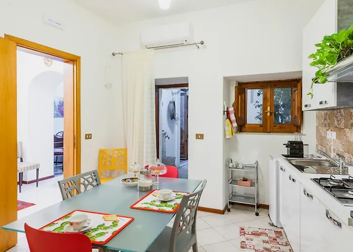 Alfycodindia * Catania