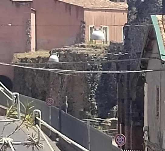 Alfycodindia Catania