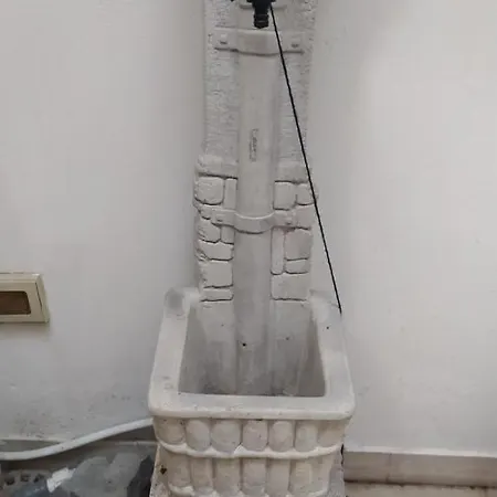 Alfycodindia